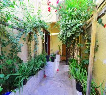 Today’s Hot Property